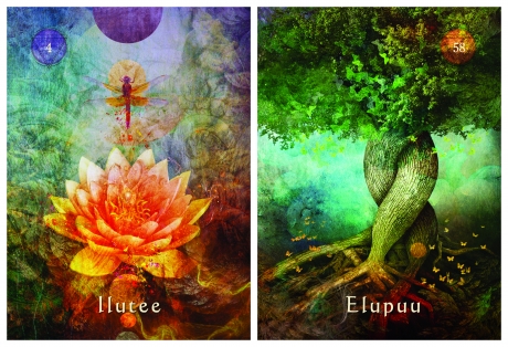 Mystical Shaman Oracle Cards